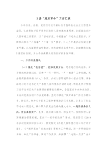 X县厕所革命工作汇报