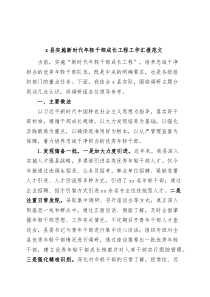 X县实施新时代年轻干部成长工程工作汇报青年总结报告