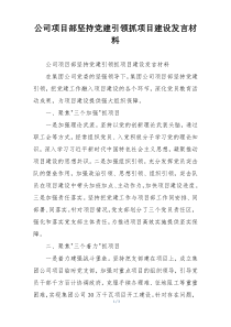 公司项目部坚持党建引领抓项目建设发言材料