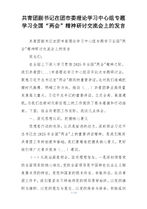 共青团副书记在团市委理论学习中心组专题学习全国“两会”精神研讨交流会上的发言