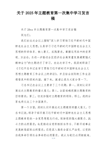 关于2025年主题教育第一次集中学习发言稿