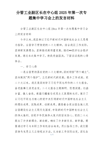 分管工业副区长在中心组2025年第一次专题集中学习会上的发言材料