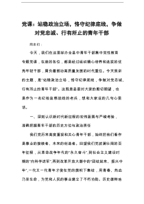 党课：站稳政治立场，恪守纪律底线，争做对党忠诚、行有所止的青年干部