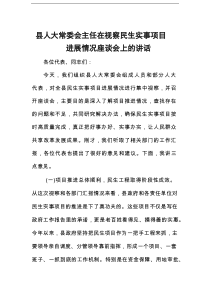 县人大常委会主任在视察民生实事项目进展情况座谈会上的讲话