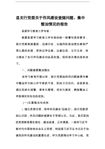 县支行党委关于作风建设查摆问题、集中整治情况的报告
