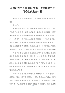副书记在中心组2025年第一次专题集中学习会上的发言材料