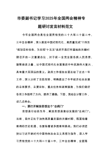 副书记学习2025年全国两会精神专题研讨发言材料范文