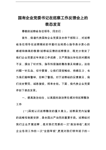 国有企业党委书记在巡察工作反馈会上的表态发言