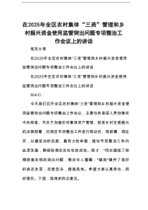 在2025年全区农村集体“三资”管理和乡村振兴资金使用监管突出问题专项整治工作会议上的讲话
