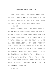全县粮食生产安全工作情况汇报