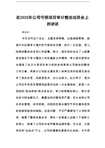在2025年公司亏损项目审计整改动员会上的讲话