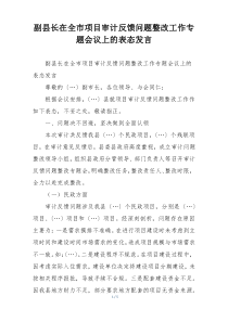副县长在全市项目审计反馈问题整改工作专题会议上的表态发言
