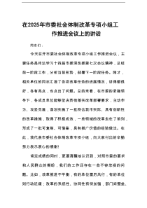 在2025年市委社会体制改革专项小组工作推进会议上的讲话
