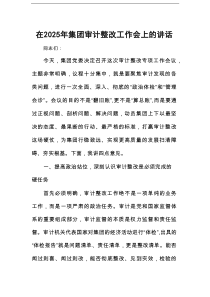 在2025年集团审计整改工作会上的讲话