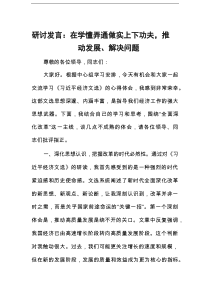 研讨发言：在学懂弄通做实上下功夫，推动发展、解决问题