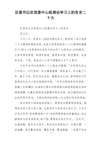 区委书记在党委中心组理论学习上的发言二十大