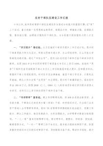 农村干部队伍建设工作汇报