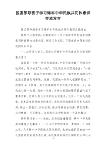 区委领导班子学习铸牢中华民族共同体意识交流发言