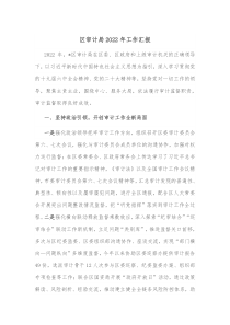 区审计局20XX年工作汇报