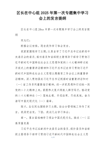 区长在中心组2025年第一次专题集中学习会上的发言提纲