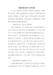 区经信局20XX年工作汇报