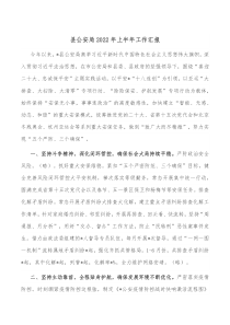 县公安局20XX年上半年工作汇报