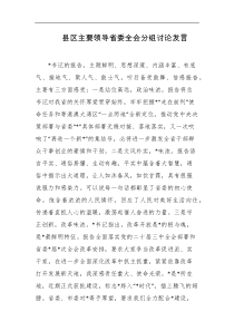 县区主要领导省委全会分组讨论发言