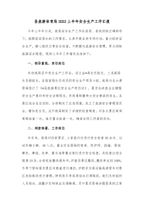 县旅游体育局20XX上半年安全生产工作汇报