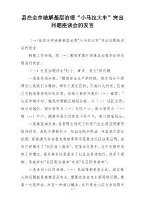 县在全市破解基层治理“小马拉大车”突出问题座谈会的发言