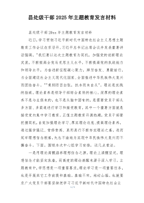 县处级干部2025年主题教育发言材料