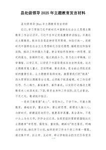 县处级领导2025年主题教育发言材料