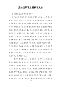 县处级领导主题教育发言