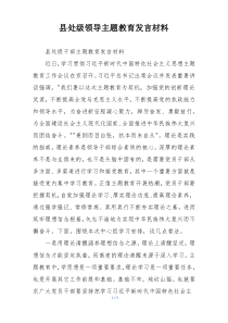县处级领导主题教育发言材料