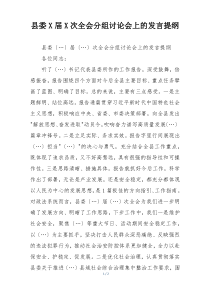 县委X届X次全会分组讨论会上的发言提纲