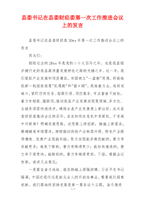 县委书记在县委财经委第一次工作推进会议上的发言