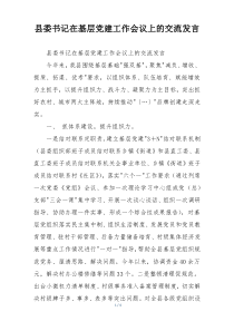 县委书记在基层党建工作会议上的交流发言