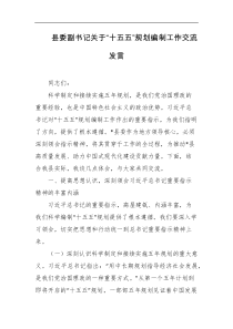 县委副书记关于十五五规划编制工作交流发言
