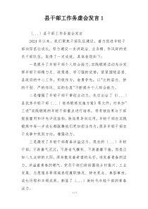 县干部工作务虚会发言1