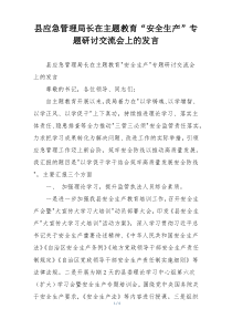 县应急管理局长在主题教育“安全生产”专题研讨交流会上的发言