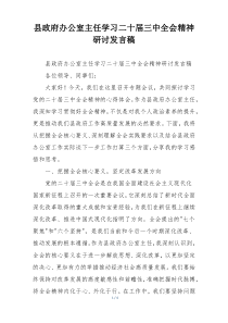 县政府办公室主任学习二十届三中全会精神研讨发言稿