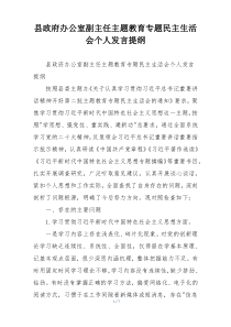 县政府办公室副主任主题教育专题民主生活会个人发言提纲