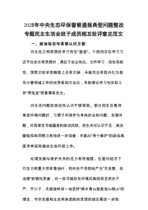 2025年中央生态环保督察通报典型问题整改专题民主生活会班子成员相互批评意见范文