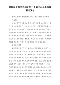 县级法官学习贯彻党的二十届三中全会精神研讨发言