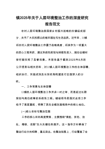 2025年关于人居环境整治工作的深度研究报告范文
