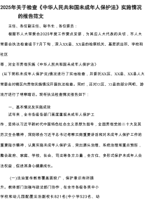 2025年关于检查《中华人民共和国未成年人保护法》实施情况的报告范文