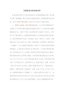 巩固脱贫成果经验材料