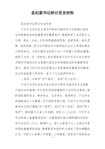 县纪委书记研讨发言材料