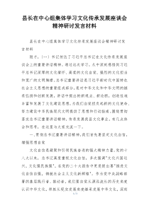 县长在中心组集体学习文化传承发展座谈会精神研讨发言材料