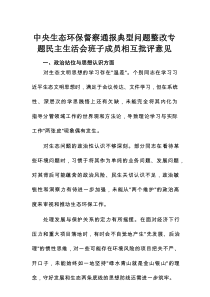 关于中央生态环保督察通报典型问题整改专题民主生活会班子成员相互批评意见