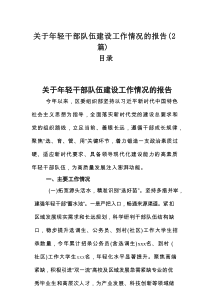 关于年轻干部队伍建设工作情况的报告（2篇）